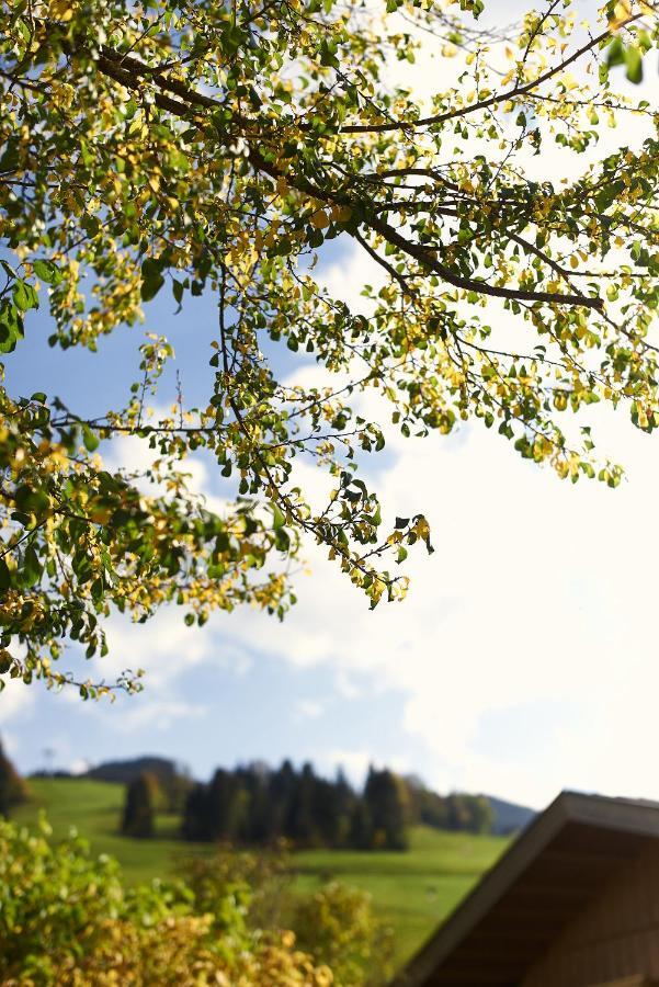 Ferienwohnung Beim Rohrer Kirchberg in Tirol Exterior foto